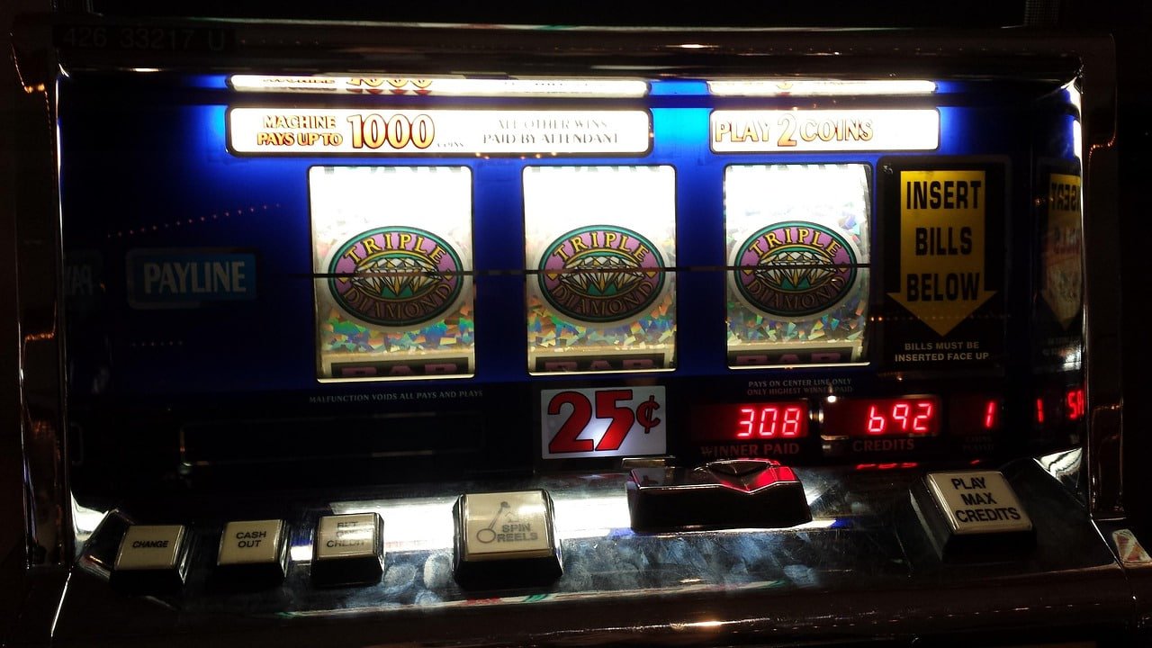 ovi999 cmo