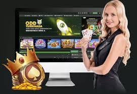 ovi999 cmo